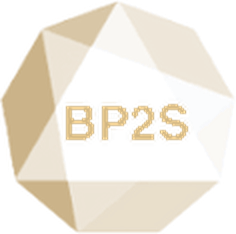 BP2S